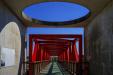 'Blue & Red' (Aug 2023) - Sante Park Tahara, Japan