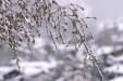 'After Snowfall' (May 2017) - Zermatt, Switzerland