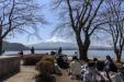 'Picnic' (Mar 2024) -  Fujikawaguchiko, Japan